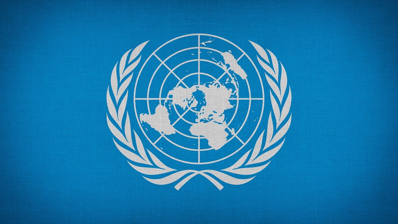 Piratenpartei Russland stellt Informationen für den UN-Sonderberichterstatter über die Situation von Menschenrechtsaktivisten vor